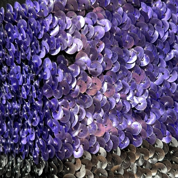 Striped Sequined Mini - Picture 2 of 2